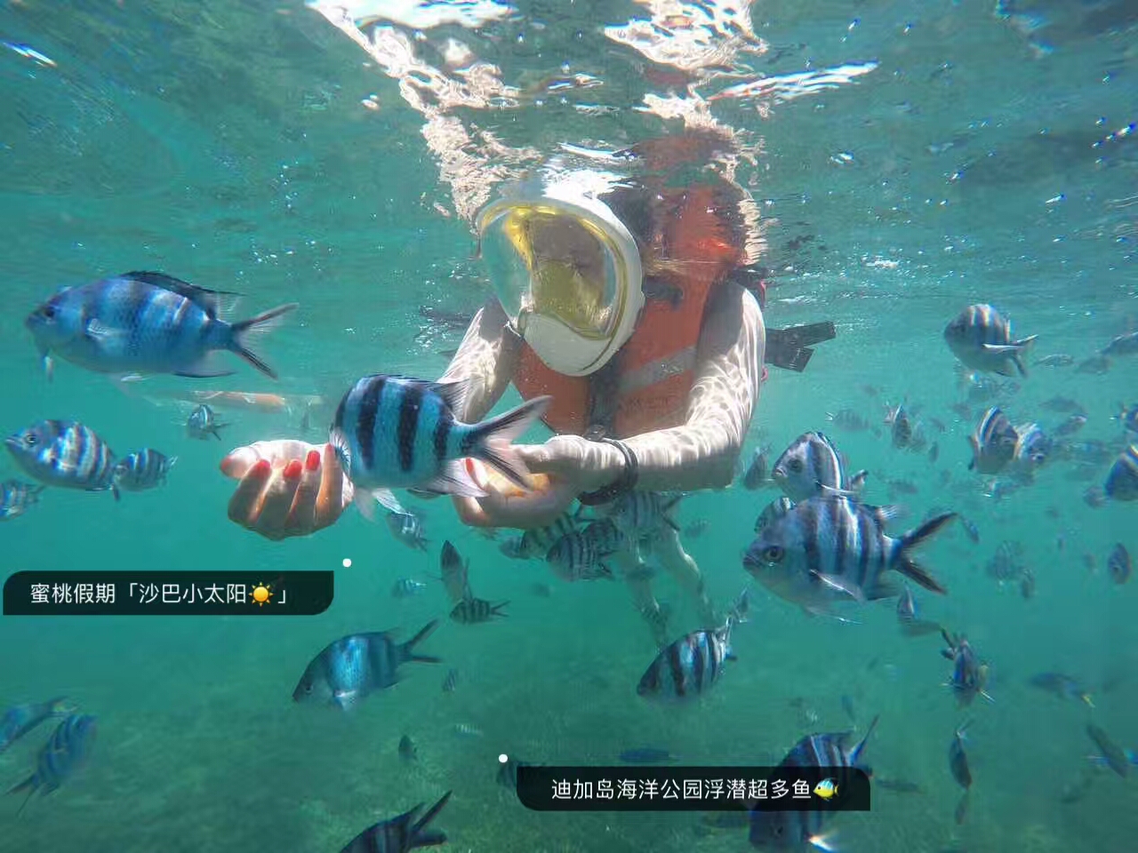 沙巴自助攻略,沙巴攻略