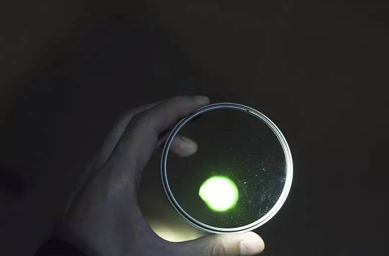 别让假努力毁了你,别让假努力毁了你剧本