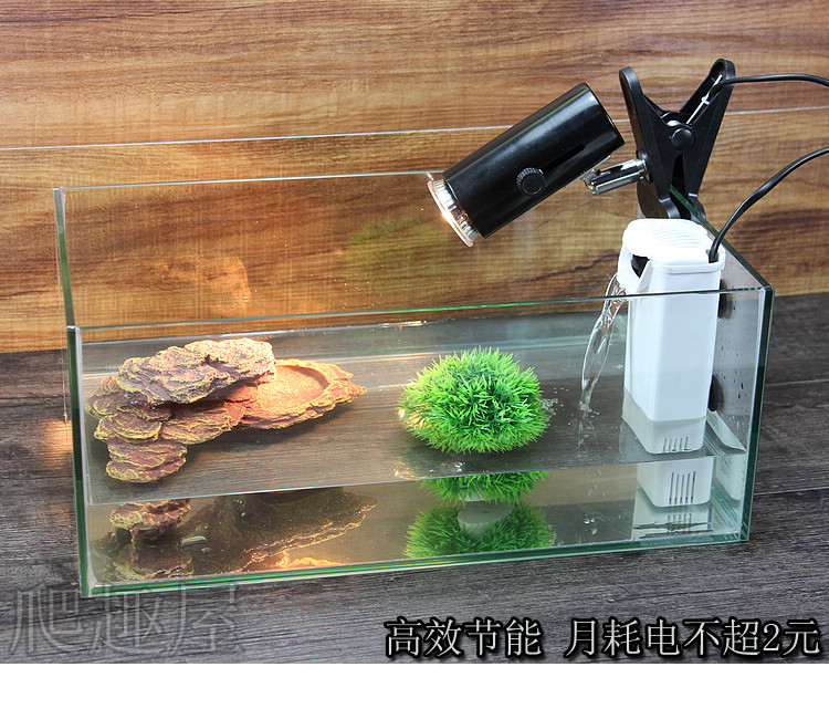 乌龟腐皮会自愈吗,小乌龟腐皮的症状