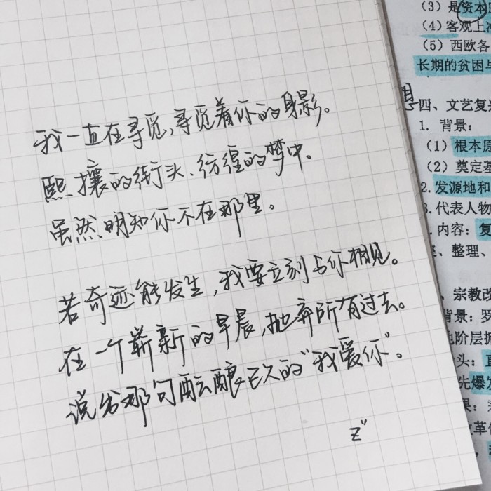 你脚下的地狱不过是天堂的倒影 (你脚下的地狱只是天堂的倒影)