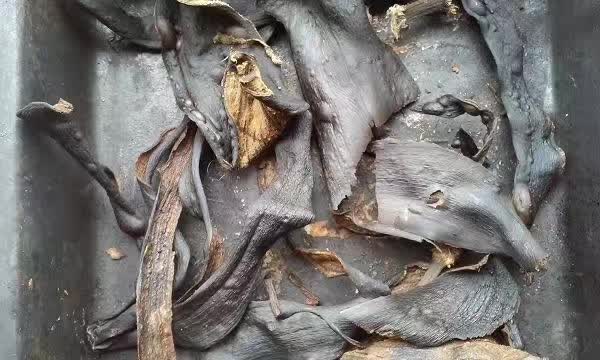 香蕉皮可以直接制作肥料,香蕉皮如何晒干做肥料