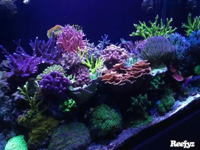 天啊，又是火灾又是炸缸，这可能是最倒霉的鱼友了！