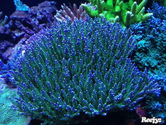 天啊，又是火灾又是炸缸，这可能是最倒霉的鱼友了！