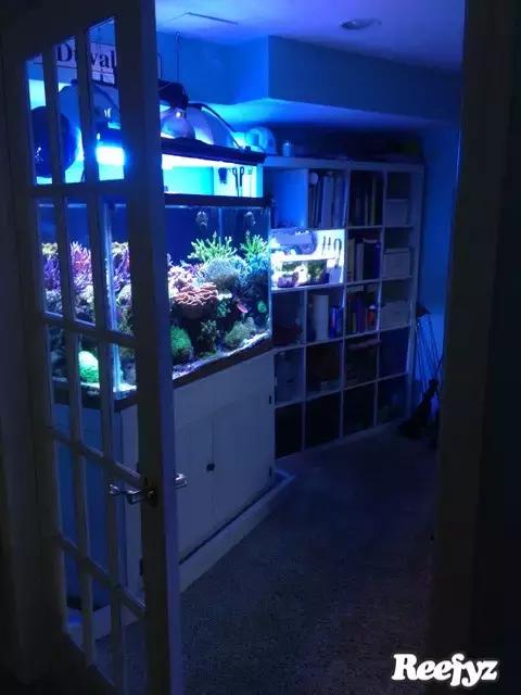 天啊，又是火灾又是炸缸，这可能是最倒霉的鱼友了！