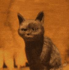 交通违章被扣12分我们怎么办,一年的交通违法多少算正常