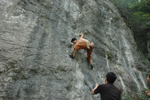 八哥飞到身上吉祥吗,八哥飞到野外能活吗