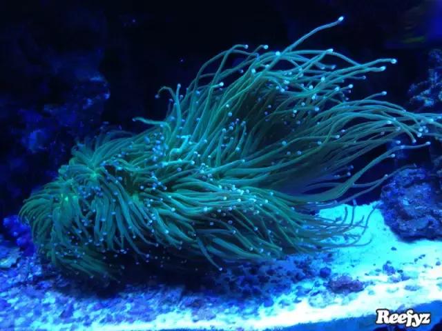 天啊，又是火灾又是炸缸，这可能是最倒霉的鱼友了！