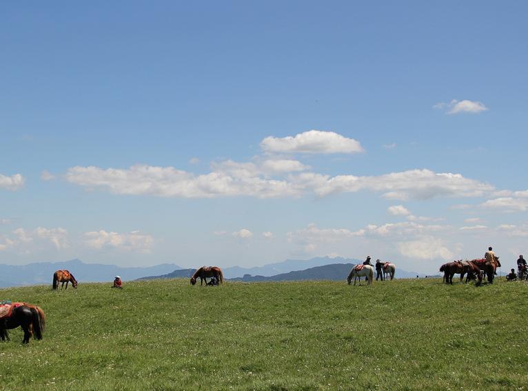 蔚县，一个古老而又美丽的城镇