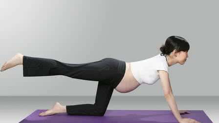 外国孕妇挺大肚举杠铃,杠铃深蹲孕妇视频