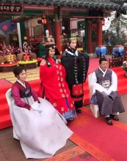 王思聪前女友雪梨个人简历,王思聪和网红美女