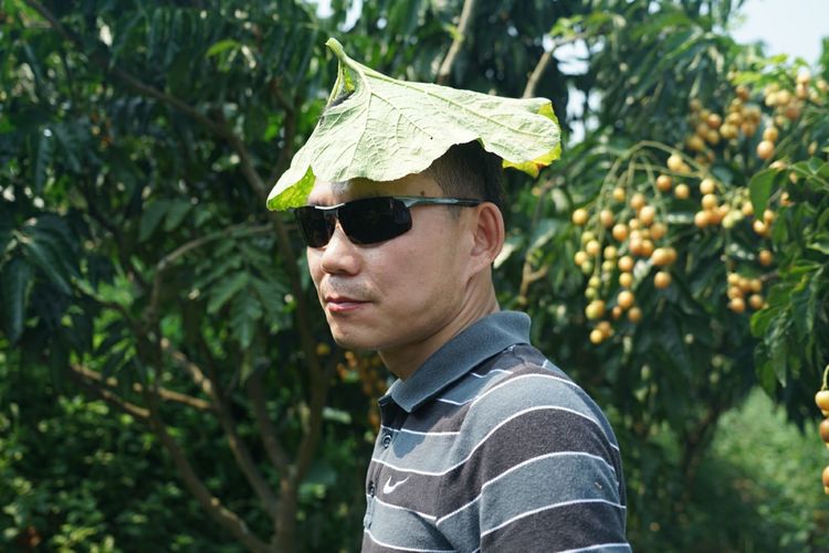 瀵诲懗閮佸崡鍘垮煄,瀵诲懗椤哄痉榛勭毊