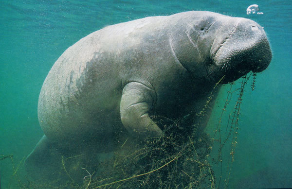 珠海长隆海洋王国游记作文,珠海长隆海洋王国游记