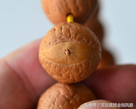 凤眼菩提三眼菩提,正圆老凤眼菩提