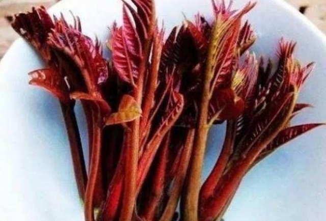 妇科炎症吃什么食物调理好,妇科病最怕吃什么食材