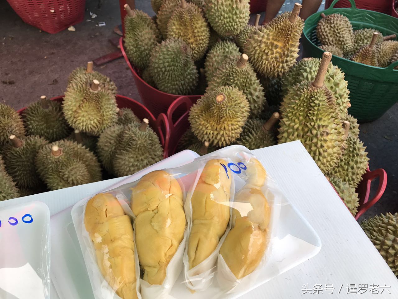 贵的泰国榴莲,泰国的榴莲最便宜多少钱一斤