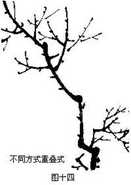 怎么画梅花的枝干老式画法,国画梅花枝干的画法和步骤