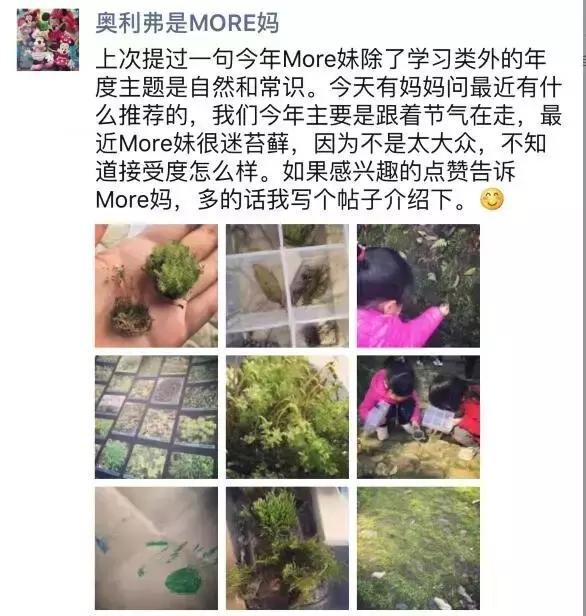 苔藓儿童科普,关于苔藓的小知识