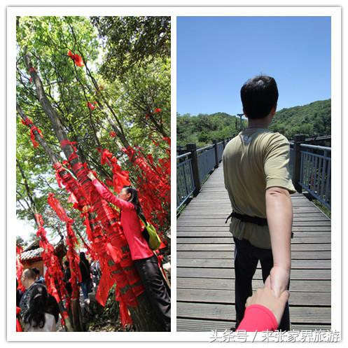 张家界森林公园黄龙洞,张家界天门山森林公园四天攻略