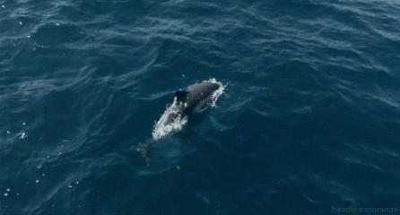 在泉州工作,泉州工作五险一金包吃住