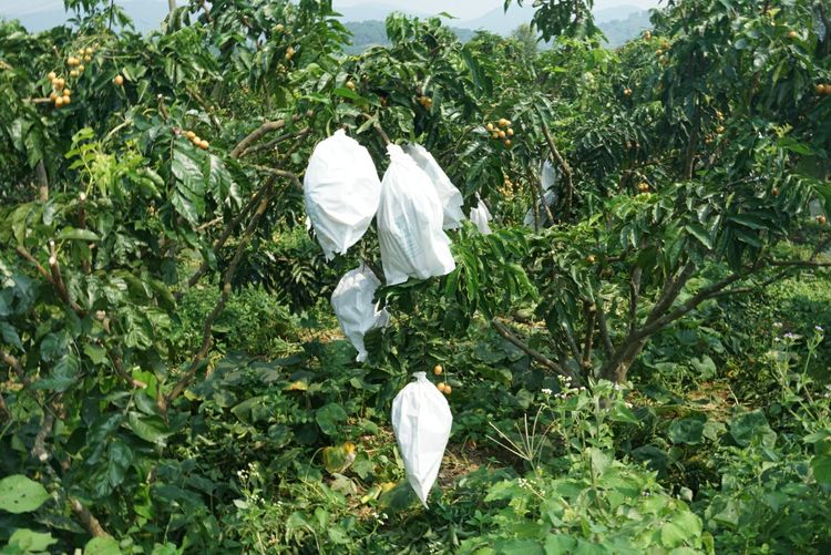 瀵诲懗閮佸崡鍘垮煄,瀵诲懗椤哄痉榛勭毊