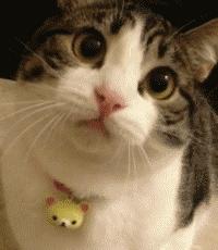 口腔溃疡反复发作舌头溃烂,口腔溃疡反反复复揪出3个元凶