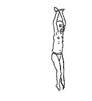 明星追星也疯狂完整版,明星追星也疯狂视频