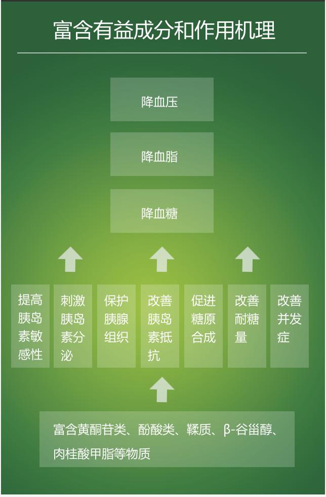 糖尿病最新研究思路,浅析治疗糖尿病的方法