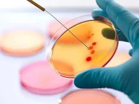 *霜砒**毒药还是药品，它治疗白血病，到底靠谱不靠谱？