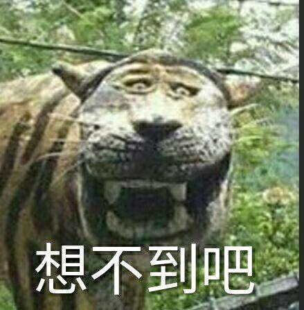 宝马雕车香满路——大武汉之购物篇