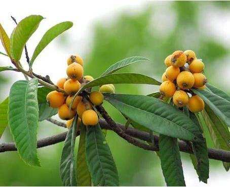 资生堂waso睡眠面膜怎么使用,资生堂夏日护肤套装怎么样