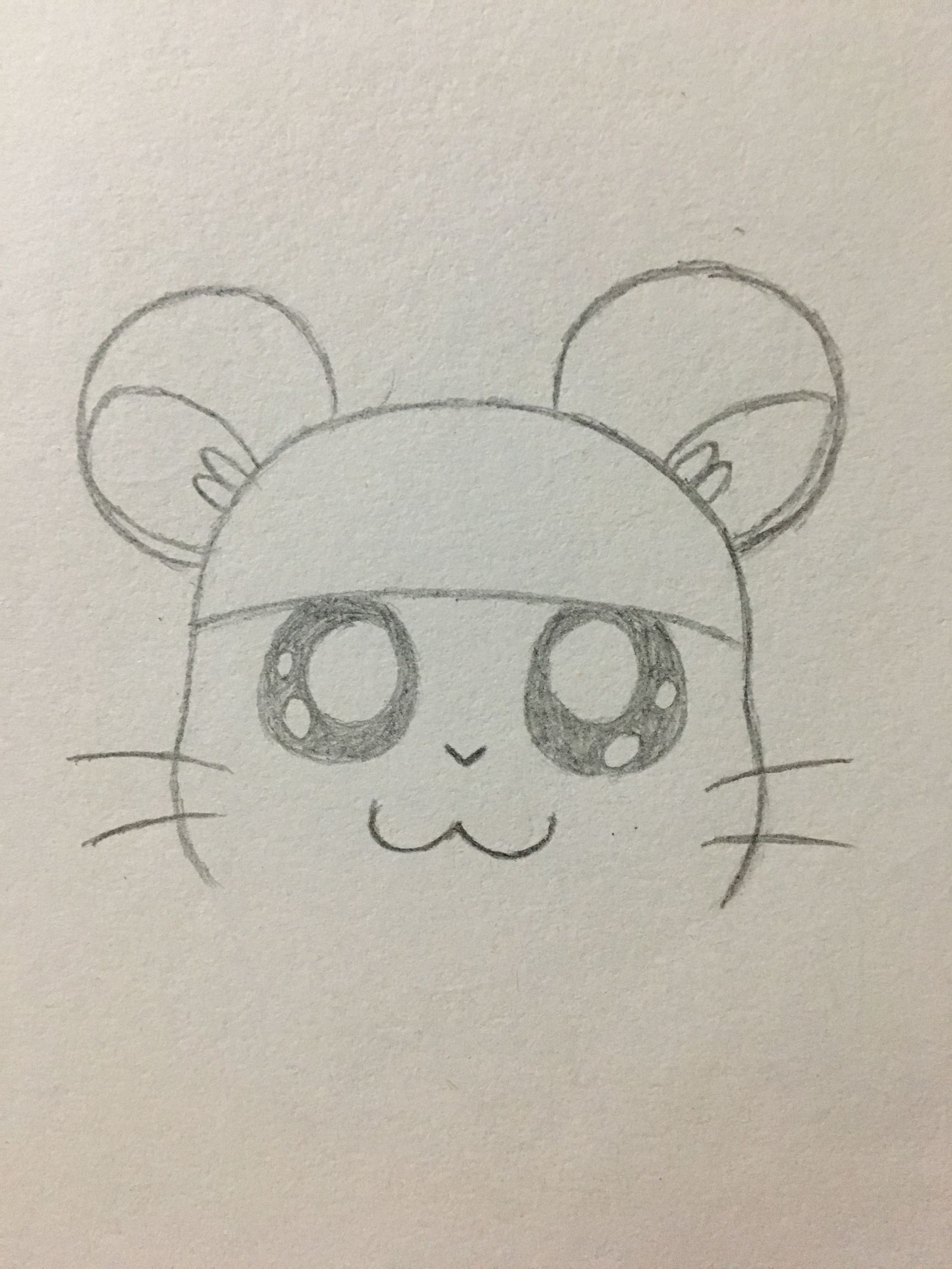 仓鼠的屋子的简笔画,简笔画小仓鼠