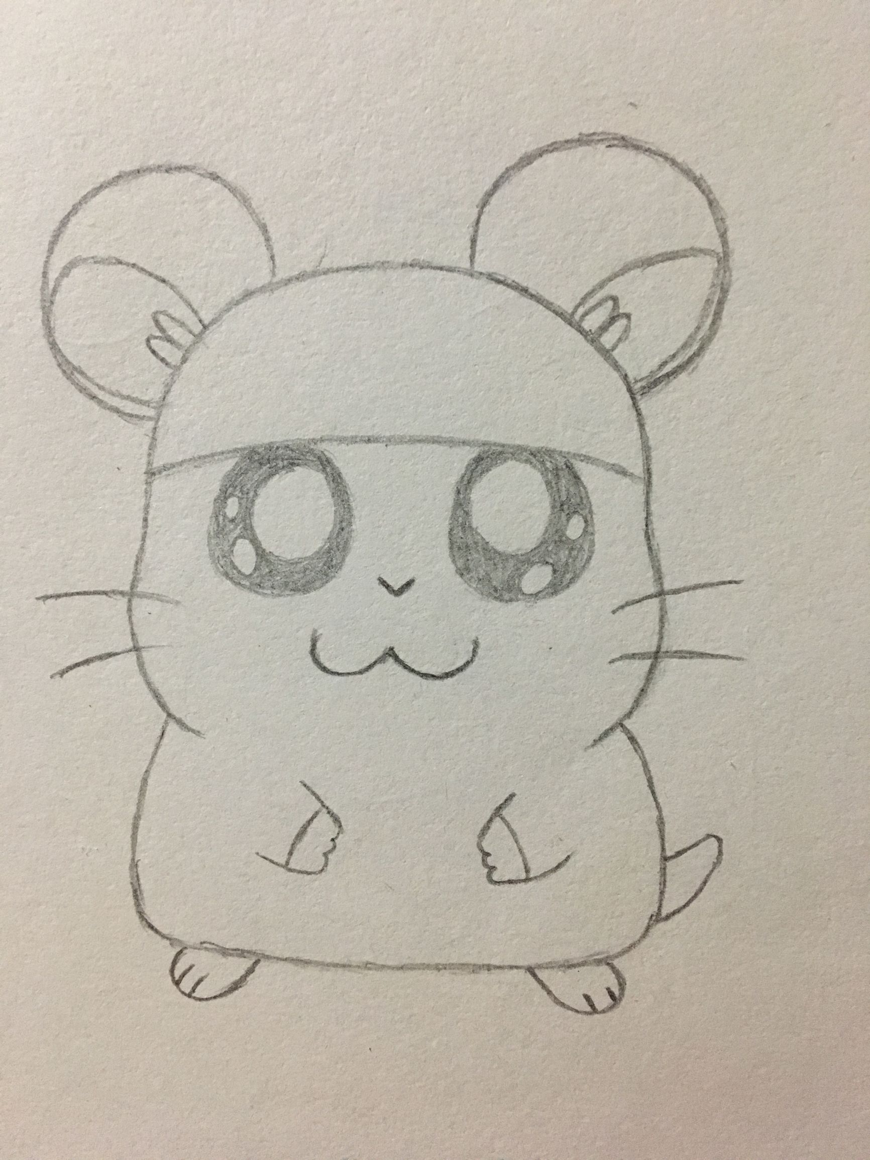 仓鼠的屋子的简笔画,简笔画小仓鼠