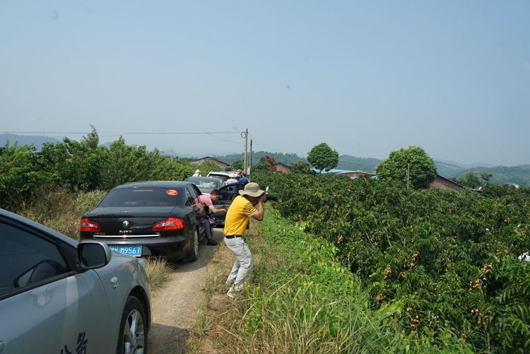 瀵诲懗閮佸崡鍘垮煄,瀵诲懗椤哄痉榛勭毊