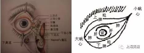 冬季两眼泪汪汪，“三伏针”来帮忙