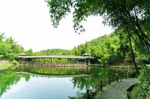 乐山夏季又避暑又好吃的地方,乐山本地人都去哪里吃美食