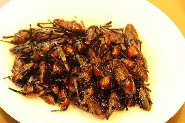 乐山夏季又避暑又好吃的地方,乐山本地人都去哪里吃美食