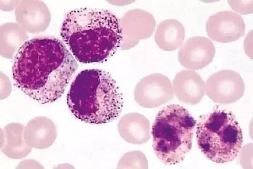 *霜砒**毒药还是药品，它治疗白血病，到底靠谱不靠谱？