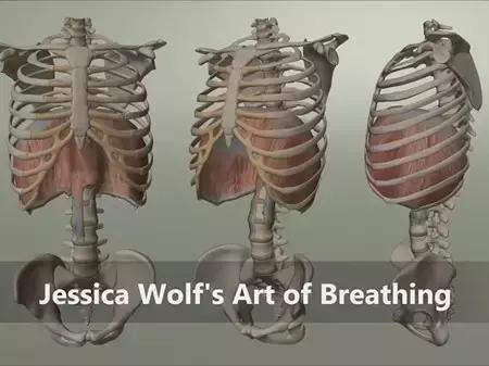 治疗腰疼的运动,治疗腰痛只需一个动作