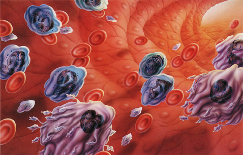 *霜砒**毒药还是药品，它治疗白血病，到底靠谱不靠谱？