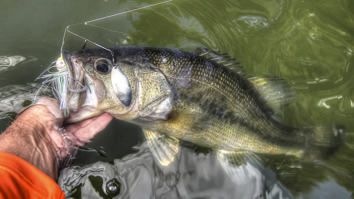 路亚钓鱼怎么知道咬口了,钓鱼咋样抓口