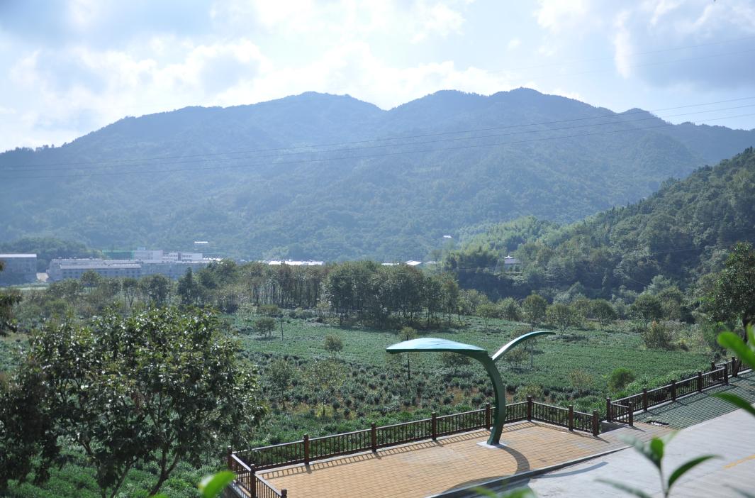 舒城古镇风景视频,舒城兰花谷古镇