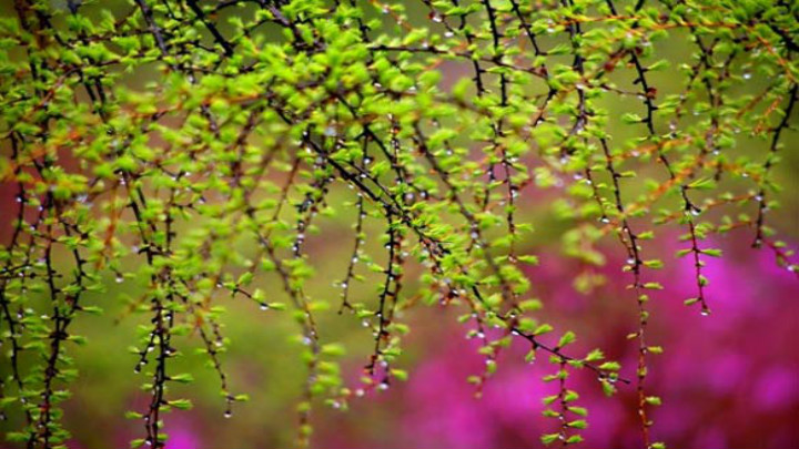 易胖易瘦的体质是怎么回事,易胖体质易穷体质