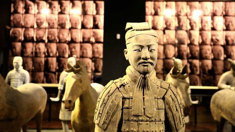 字里藏医的视频,字里藏医