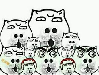 紫癜性肾炎看病记录,治疗紫癜性肾炎的中药有哪些