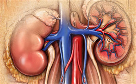 肝火旺盛口干舌燥怎么调理,女性口干舌燥是什么原因怎么解决