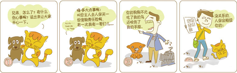 家养狗狗因为没买宠物险，闯祸以后，狗主人面临赔偿一筹莫展，该怎么给狗狗投保，看了这个你就全知道