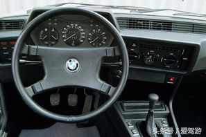 开惯宝马5系和7系想飙车换个6系轿跑车怎么样？