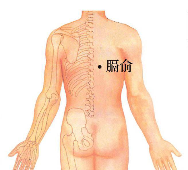 湿气寒热如何区分,湿气重怎么判断是寒湿还是湿热