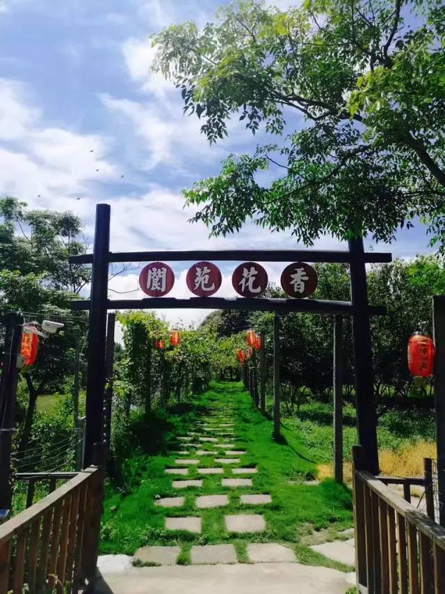 行走山水之间远离城市喧嚣,行走在浙江温州风景