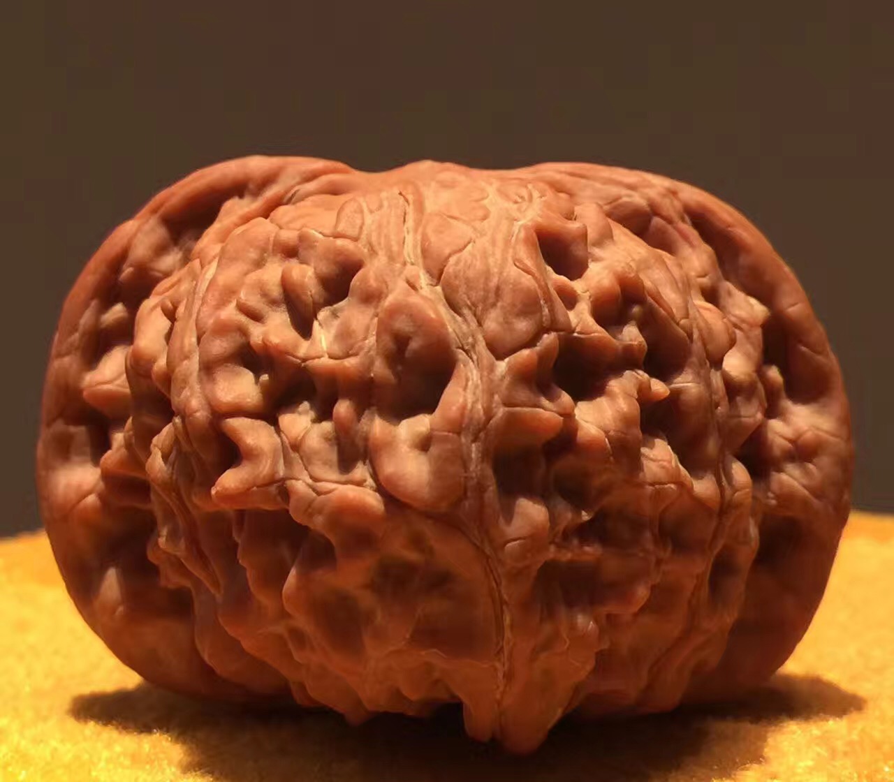 正磨盘狮子头和歪磨盘的区别,玩了十年的磨盘狮子头